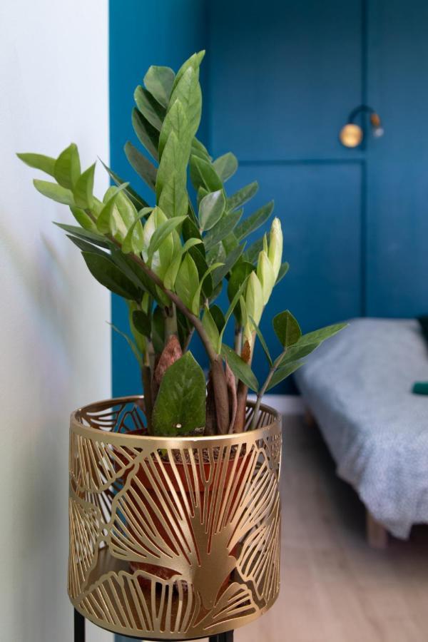 La Terrasse De Gatsby - Vue Wow - Netflix Apartamento Toulouse Exterior foto